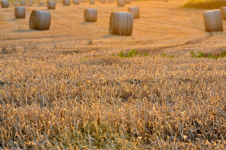 hunting reporting harvest